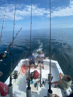 Fishing in Orange Beach