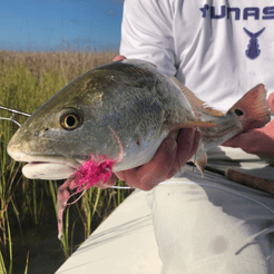 Fishing in Matagorda