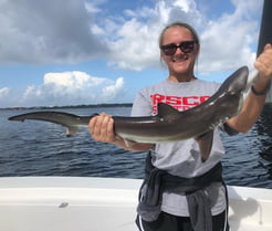 Fishing in Panama City