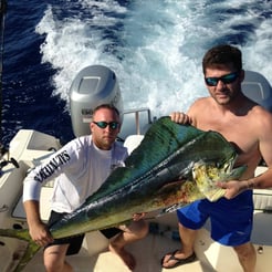 Fishing in Dauphin Island