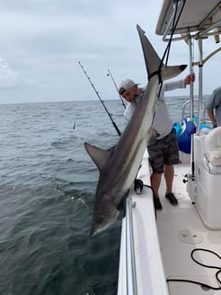 Fishing in Dauphin Island