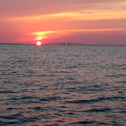 Fishing in Dauphin Island