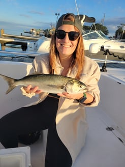 Fishing in Dauphin Island