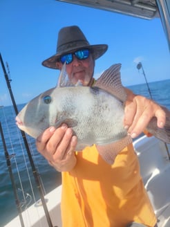 Fishing in Dauphin Island