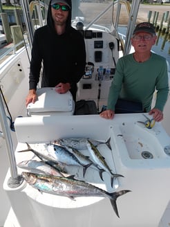 Fishing in Dauphin Island