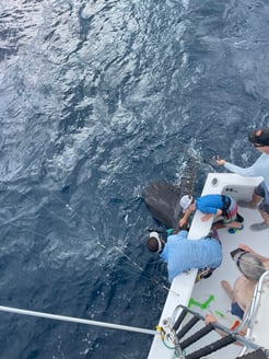 Fishing in Quepos