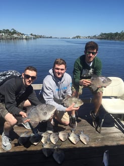 Fishing in Orange Beach