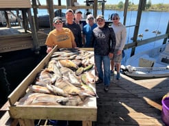 Fishing in New Orleans