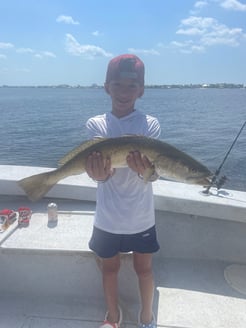 Fishing in Orange Beach