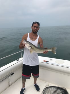 Fishing in Lakeside Marblehead