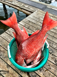 Fishing in New Smyrna Beach