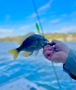 Fishing in Austin