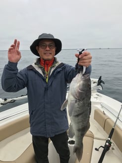 Fishing in Long Beach