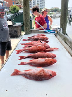 Fishing in Gulf Breeze