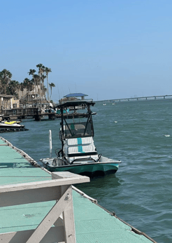 Fishing in Port Isabel