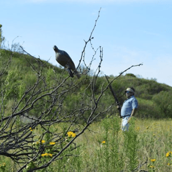 Hunting in Amarillo