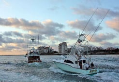 Fishing in Key Biscayne