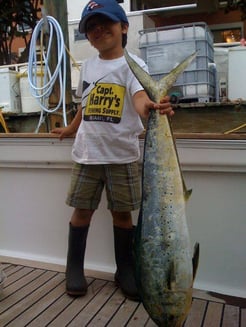 Fishing in Key Biscayne