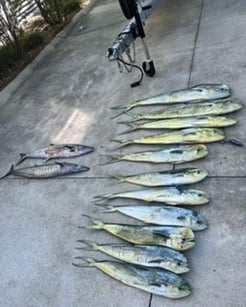 Fishing in Charleston