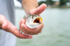 Fishing in Texas City