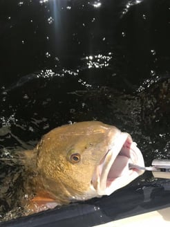 Fishing in Texas City