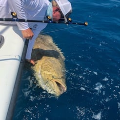 Fishing in Key West