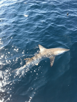 Fishing in Galveston