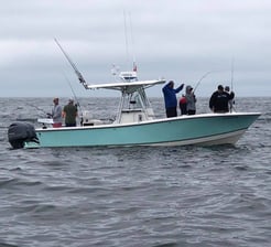 Fishing in Chatham