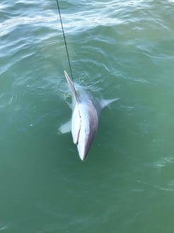 Fishing in Galveston