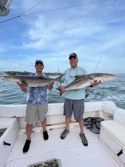 Fishing in Port Orange