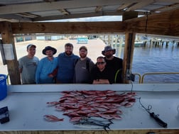 Fishing in Pensacola, Florida