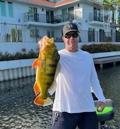 Peacock Bass Fishing in Okeechobee, Florida, USA