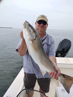 Spanish Mackerel, Speckled Trout / Spotted Seatrout fishing in Hatteras, North Carolina