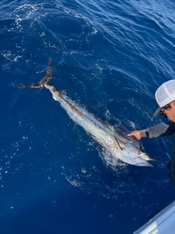 Fishing in Jupiter, Florida