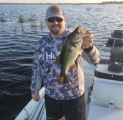 Peacock Bass Fishing in Okeechobee, Florida, USA