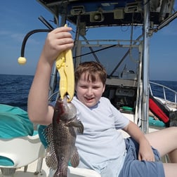 Triggerfish Fishing in St. Marys, Georgia