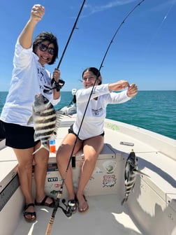 Fishing in Sarasota, Florida