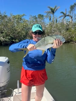 Fishing in Sarasota, Florida