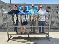 Fishing in Corpus Christi, Texas