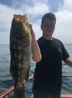 Fishing in San Diego, California