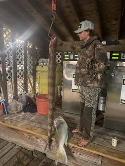 Fishing in Gulf Shores, Alabama