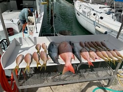 Fishing in Key West, Florida