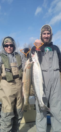 Chinook Salmon Fishing in Montesano, Washington