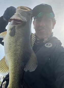 Peacock Bass Fishing in Okeechobee, Florida, USA