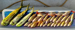 Fishing in Arcadia, Florida