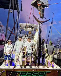 Blue Marlin Fishing in San Juan, Puerto Rico
