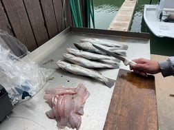 Fishing in Port O'Connor, Texas