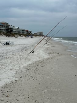 Fishing in Niceville, Florida
