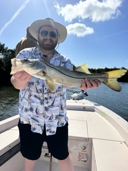 Fishing in Sarasota, Florida