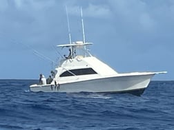 Blue Marlin Fishing in San Juan, Puerto Rico